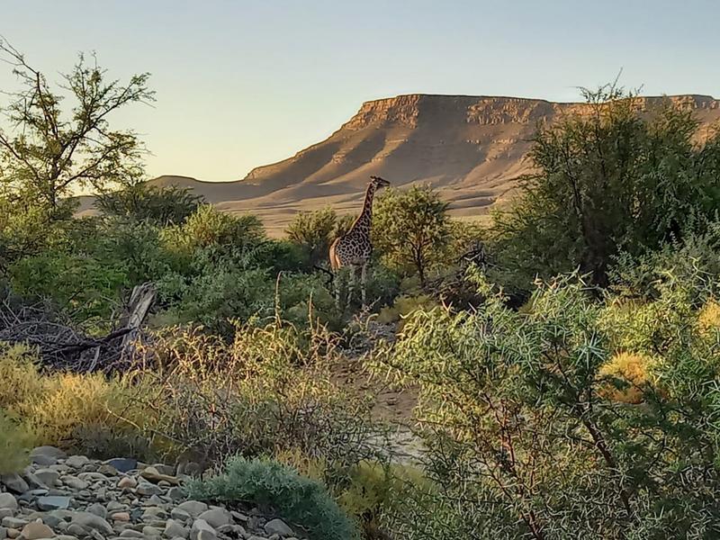 9 Bedroom Property for Sale in Sutherland Northern Cape